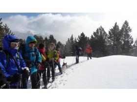 photo coins arrondis